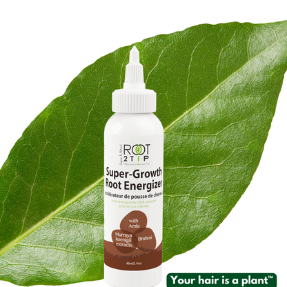 The ROOT Energizer Scalp Oil - 100% Natural